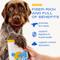 Show in main carousel: Native Pet Organic Pumpkin Fiber Powder Digestive Supplement for Dogs, 8-oz slide 4 of 9