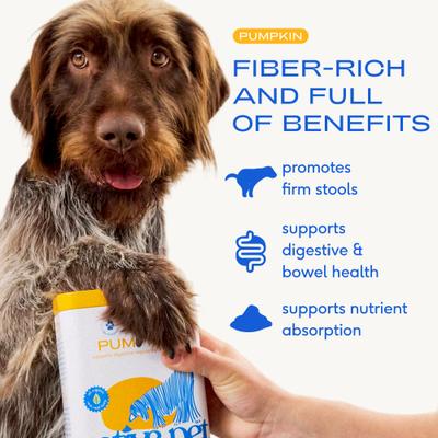 Show full view: Native Pet Organic Pumpkin Fiber Powder Digestive Supplement for Dogs, 8-oz slide 4 of 9