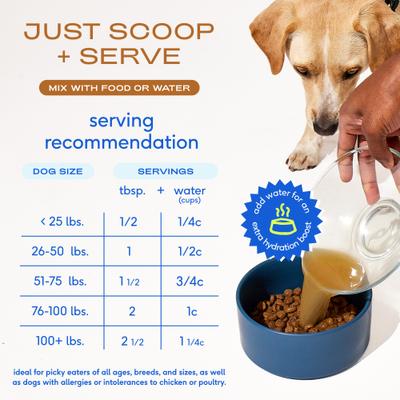 Show full view: Native Pet Beef Bone Broth Powder Grain-Free Dog Food Topper, 4.75-oz slide 7 of 9