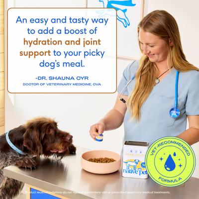 Show full view: Native Pet Beef Bone Broth Powder Grain-Free Dog Food Topper, 4.75-oz slide 6 of 9