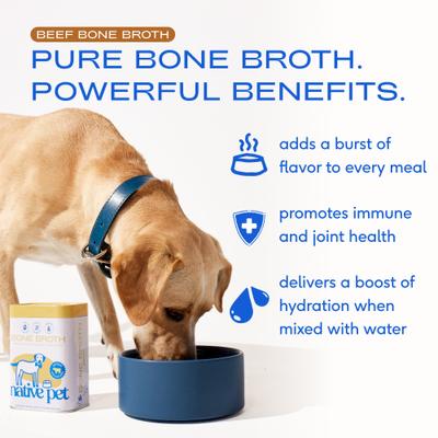 Show full view: Native Pet Beef Bone Broth Powder Grain-Free Dog Food Topper, 4.75-oz slide 4 of 9