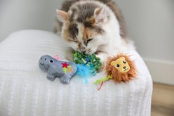 Quirky Kitty Sassy Safari Catnip Plush Cat Toy, Multicolor, Medium, 3 count slide 2 of 4