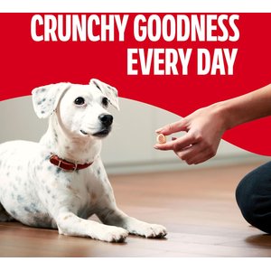 Milk-Bone MaroSnacks Real Bone Marrow Dog Treats, 40-oz tub