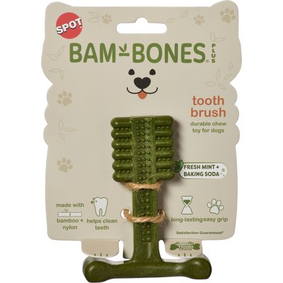 Spot Spot Bambone+ Toothbrush Mint Dog Toy, Green, 4-in, 1 count