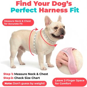 Best Pet Supplies Voyager Step-in Air Dog Harness, Fuchsia with Matching Trim, Small