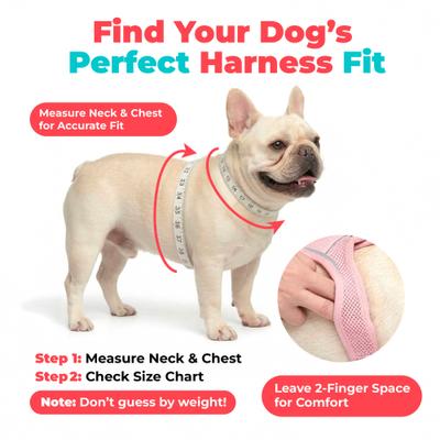 Show full view: Best Pet Supplies Voyager Black Trim Mesh Dog Harness, Purple, Small slide 6 of 10
