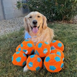 Nerf Dog X-Weave Soccer Squeak Dog Ball Toy, Orange/Blue, 5-in slide 2 of 8