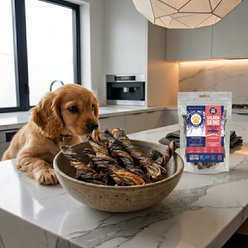 Hungry Paws Premium Salmon Skin Twist Dehydrated Dog Treats, 5-oz bag slide 2 of 6