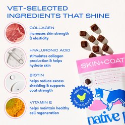 Native Pet Skin & Coat Chews with Omega-3 Dry Skin Supplement for Dogs, 120 count slide 2 of 7