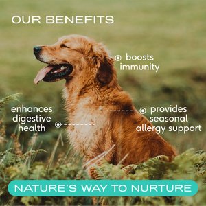 Native Pet Colostrum Immune System Powder Supplement for Dogs, 2.2-oz