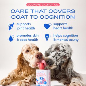 Native Pet Sockeye Salmon Flavored Oil Skin & Coat Health Liquid Supplement for Dogs & Cats, 8-fl oz