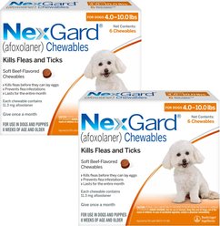 NexGard Chewables for Dogs, 4-10 lbs, (Orange Box), 6 Chewable Tablets, bundle of 2 (12-mos. supply)