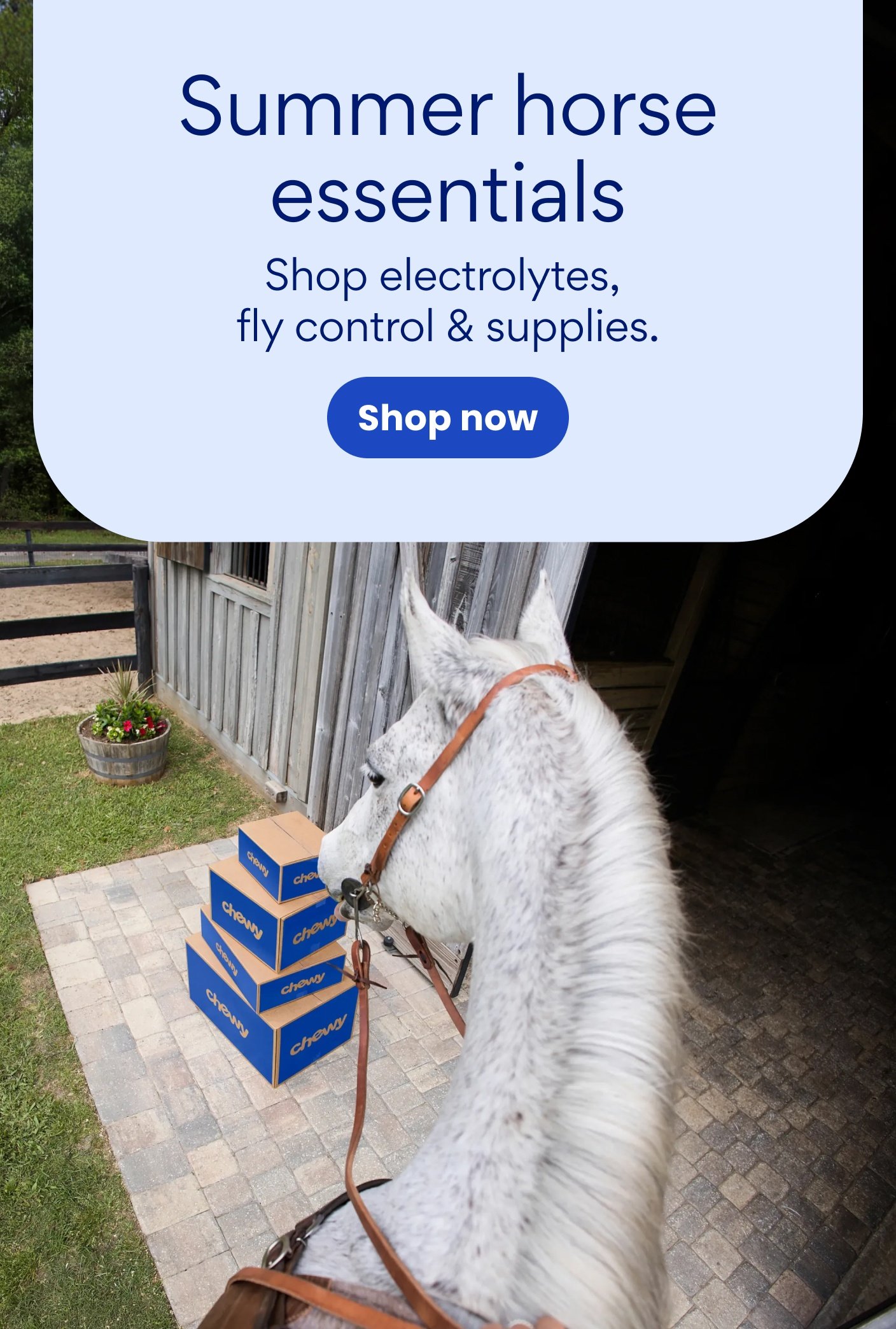 Summer horse essentials. Shop electrolytes, fly control, supplies, and more.