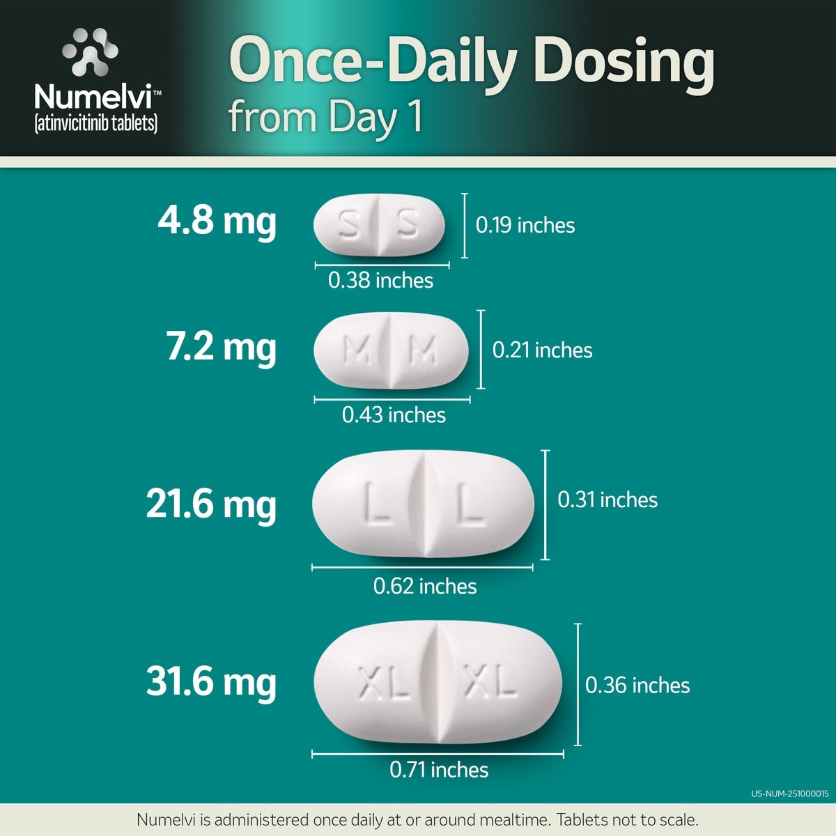 NUMELVI (atinvicitinib) Tablets for Dogs, 31.6-mg - Easy Refills | Chewy Rx