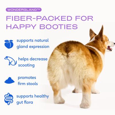 Show full view: Native Pet WonderGland Anal Gland Pumpkin Fiber & Digestive Supplement for Dogs, 16-oz slide 4 of 9