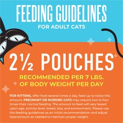 Tiki Cat Friends Mousse Tuna & Pumpkin Grain-Free Wet Cat Food, 2.8-oz pouch, case of 12 slide 2 of 9