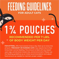 Tiki Cat Friends Mousse Chicken & Pumpkin Recipe in Broth Grain-Free Wet Cat Food, 2.5-oz pouch, case of 12 slide 2 of 9