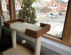 Armarkat 41-in Real Wood Tower Cat Tree & Condo, Coffee Brown slide 2 of 9