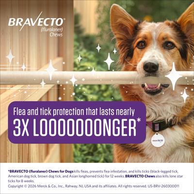 Show full view: Bravecto CHEW for Dogs, 22-44 lbs, (Green Box), 2 Chews (24-wks. supply) slide 3 of 7