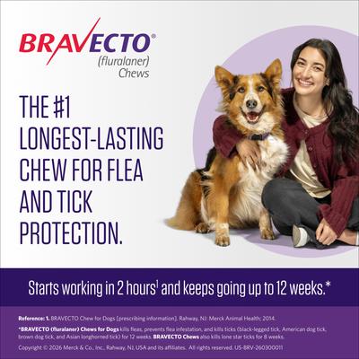 Show full view: Bravecto CHEW for Dogs, 22-44 lbs, (Green Box), 2 Chews (24-wks. supply) slide 2 of 7