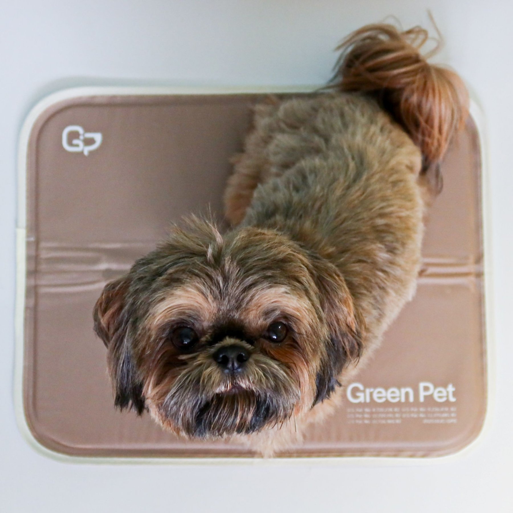 The Green Pet Shop Cool Pet Pad, Latte, X-Small