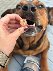The Raw Butcher Blend All Beef Liver, Kidney, Heart Freeze-Dried Dog Treats, 3-oz pouch slide 2 of 6