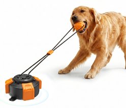 PawsPik Interactive Tug & Pull Dog Toy with Suction Base, Orange/Black