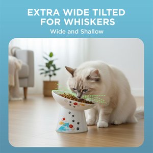 Necoichi 15° Tilted Elevated Ceramic Cat Food Bowl, 2 cup, Fuji