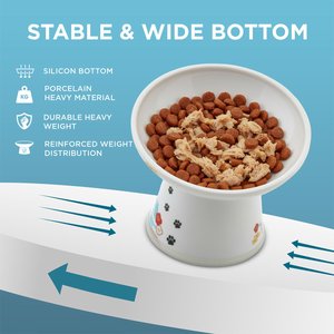Necoichi 15° Tilted Elevated Ceramic Cat Food Bowl, 2 cup, Fuji