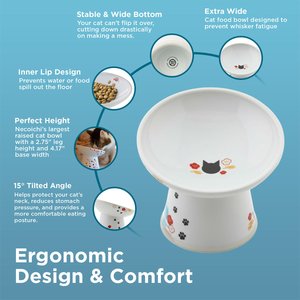 Necoichi 15° Tilted Elevated Ceramic Cat Food Bowl, 2 cup, Fuji