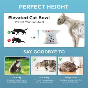 Necoichi Extra Wide Elevated Porcelain Ceramic Cat Food Bowl, Fuji, 2-cup