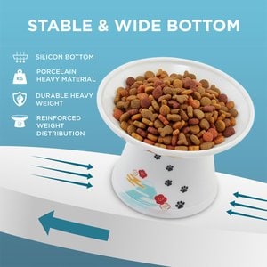 Necoichi Extra Wide Elevated Porcelain Ceramic Cat Food Bowl, Fuji, 2-cup
