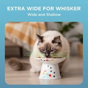 Necoichi Extra Wide Elevated Porcelain Ceramic Cat Food Bowl, Fuji, 2-cup