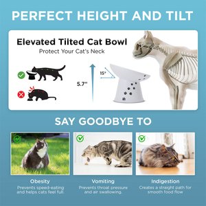 Necoichi 15° Tilted Elevated Ceramic Cat Food Bowl, 2 cup, Cat