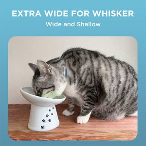 Necoichi 15° Tilted Elevated Ceramic Cat Food Bowl, 2 cup, Cat