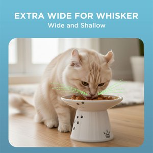 Necoichi Extra Wide Elevated Ceramic Cat Food Bowl, Cat, 2-cup