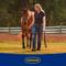 Show in main carousel: Farnam Equicare Flysect Super-7 Repellent Horse Insect Spray, 128-oz jar slide 9 of 9