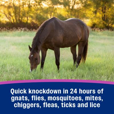 Show full view: Farnam Equicare Flysect Super-7 Repellent Horse Insect Spray, 128-oz jar slide 4 of 9