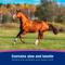 Show in main carousel: Farnam Equicare Flysect Super-7 Repellent Horse Insect Spray, 128-oz jar slide 5 of 9