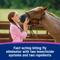 Show in main carousel: Farnam Equicare Flysect Super-7 Repellent Horse Insect Spray, 128-oz jar slide 3 of 9