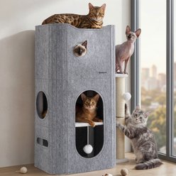 Bedsure 3-Level Modern Indoor Cat Condos Small Cat Tree for Multiple Kitties with Scratching Posts & Fluffy Ball, 22.5 x 31.5 x 13-in, Dove Grey