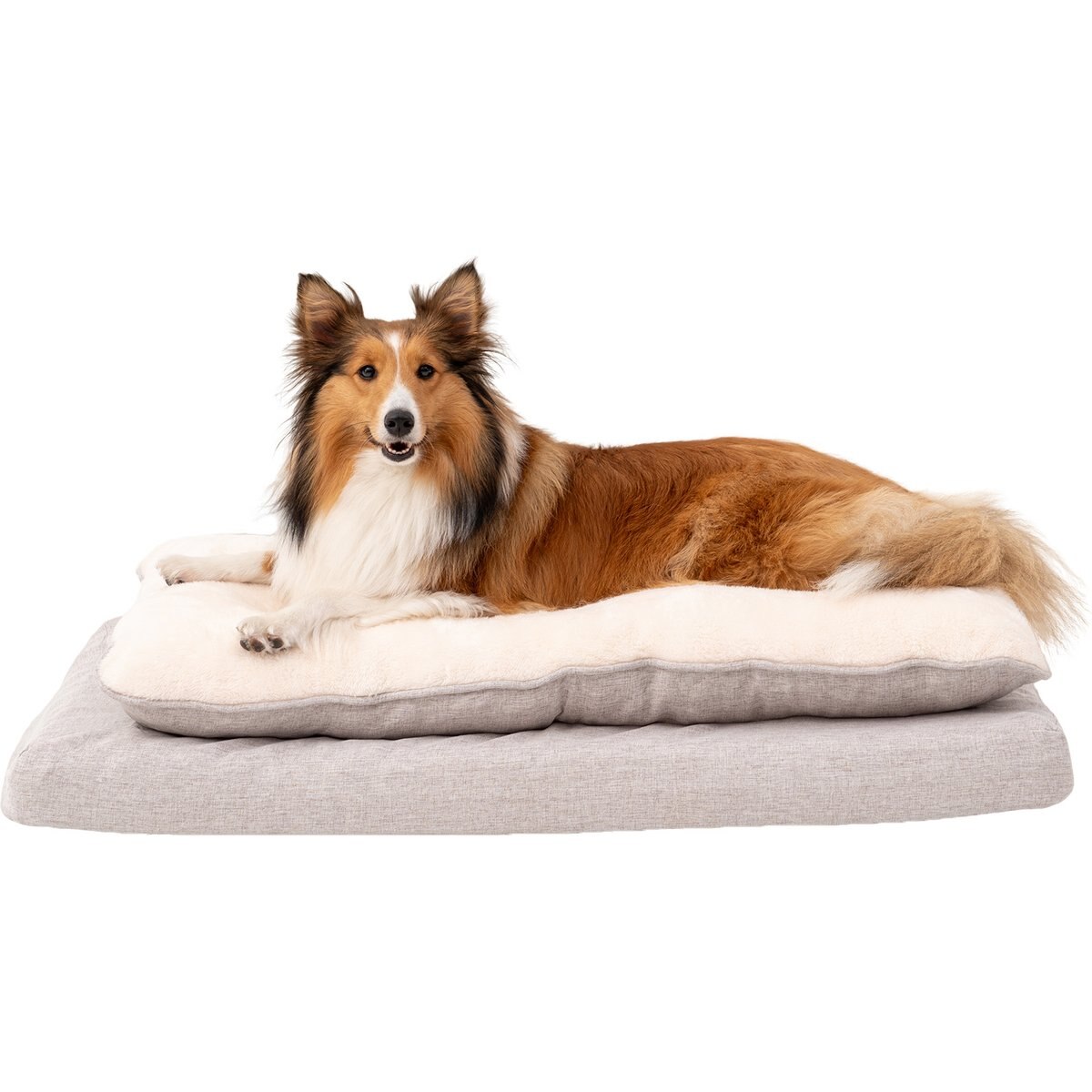 Territory Orthopedic Pillow Top Dog Bed, Khaki, Large: 36 x 23-in