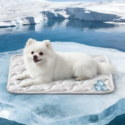 AIPERRO Cool Pet Pad Cooling Bolster Dog Crate Mat, Grey, Small slide 2 of 8