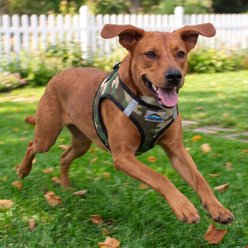 Doggie Design American River Camouflage Collection Choke Free Dog Harness, Green Camo, XXX-Large: 30 to 33-in chest slide 2 of 5