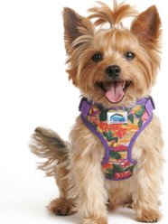 Doggie Design Wrap & Snap Choke Free Sunset Hibiscus Dog Harness, Large: 20 to 26 inchers slide 2 of 4