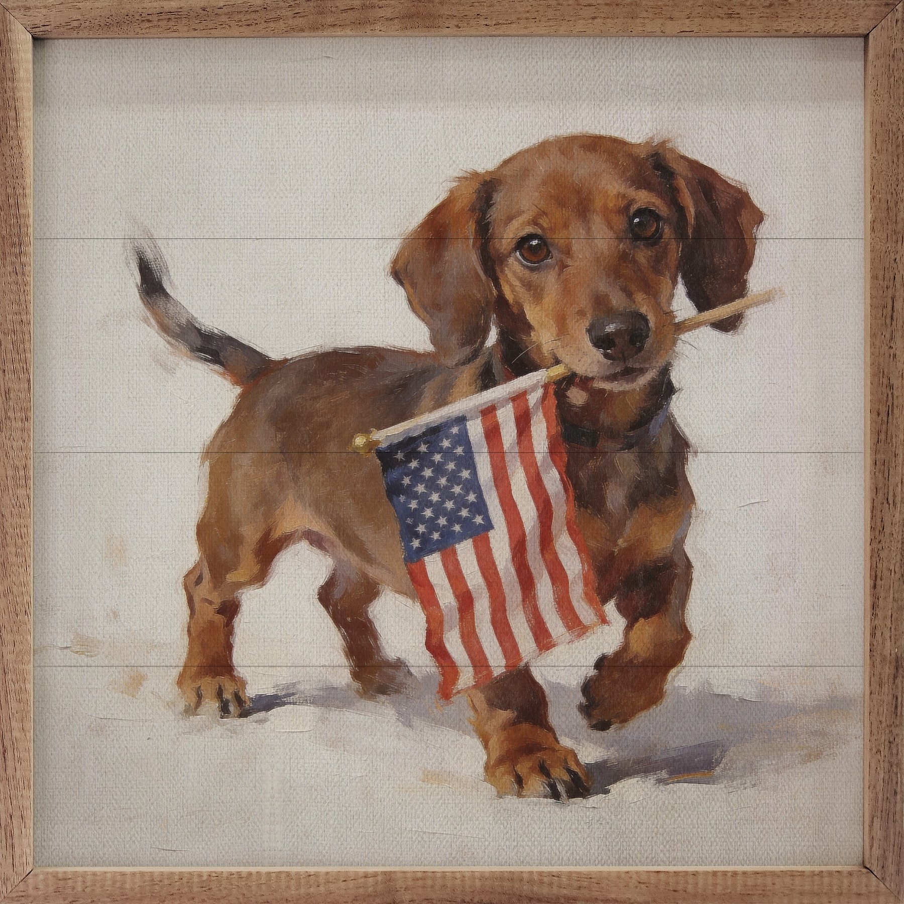 Kendrick Patriotic Pets Dachshund Sign, 24 x 24-in