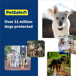 PetSafe YardMax Rechargeable In-Ground Pet Fence System