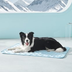 AIPERRO Cool Pet Pad Cooling Bolster Dog Crate Mat, Blue, Large