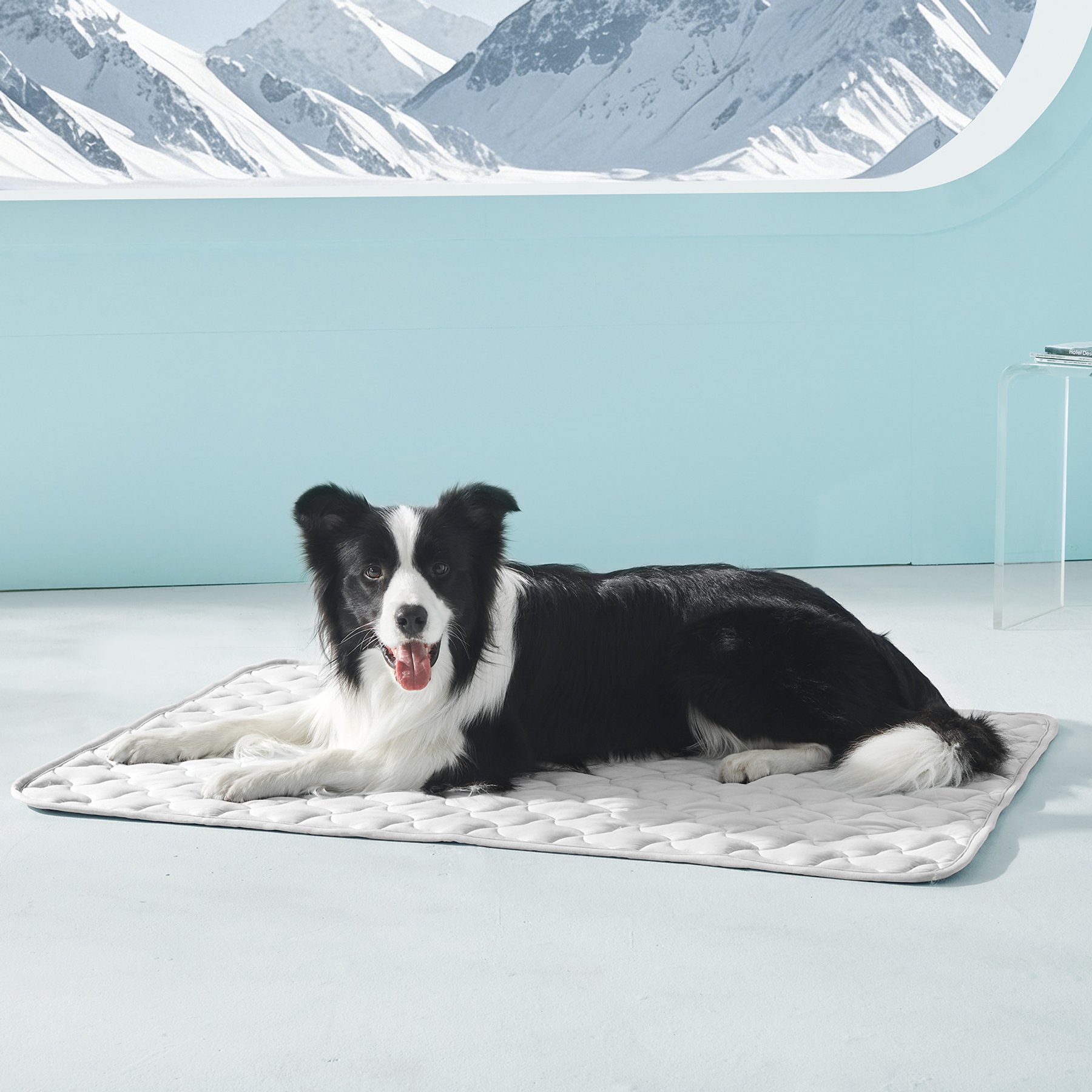AIPERRO Cool Pet Pad Cooling Bolster Dog Crate Mat, Grey, X-Large