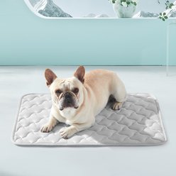 AIPERRO Cool Pet Pad Cooling Bolster Dog Crate Mat, Grey, Small